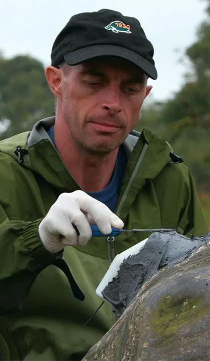 Dr Stephen Blake applying a tracking tag to a tortoise.